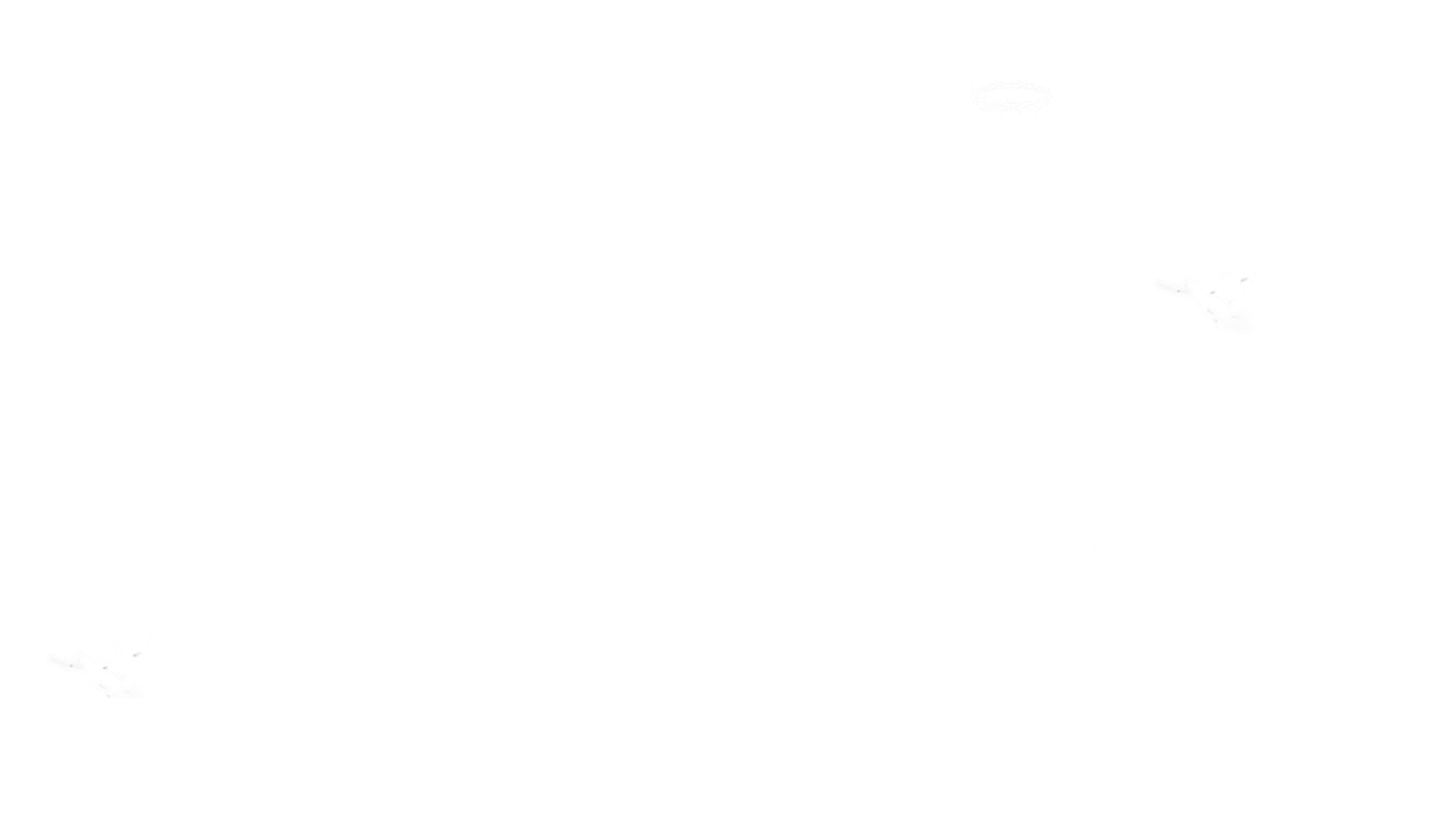 Untitled (1920 x 1080 px) (9) Nations House of Prayer Summer Internship 2025 in collaboration with Coreluv International